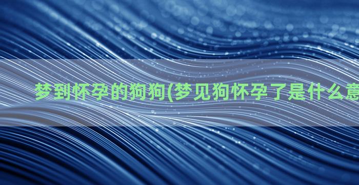 梦到怀孕的狗狗(梦见狗怀孕了是什么意思 预兆)